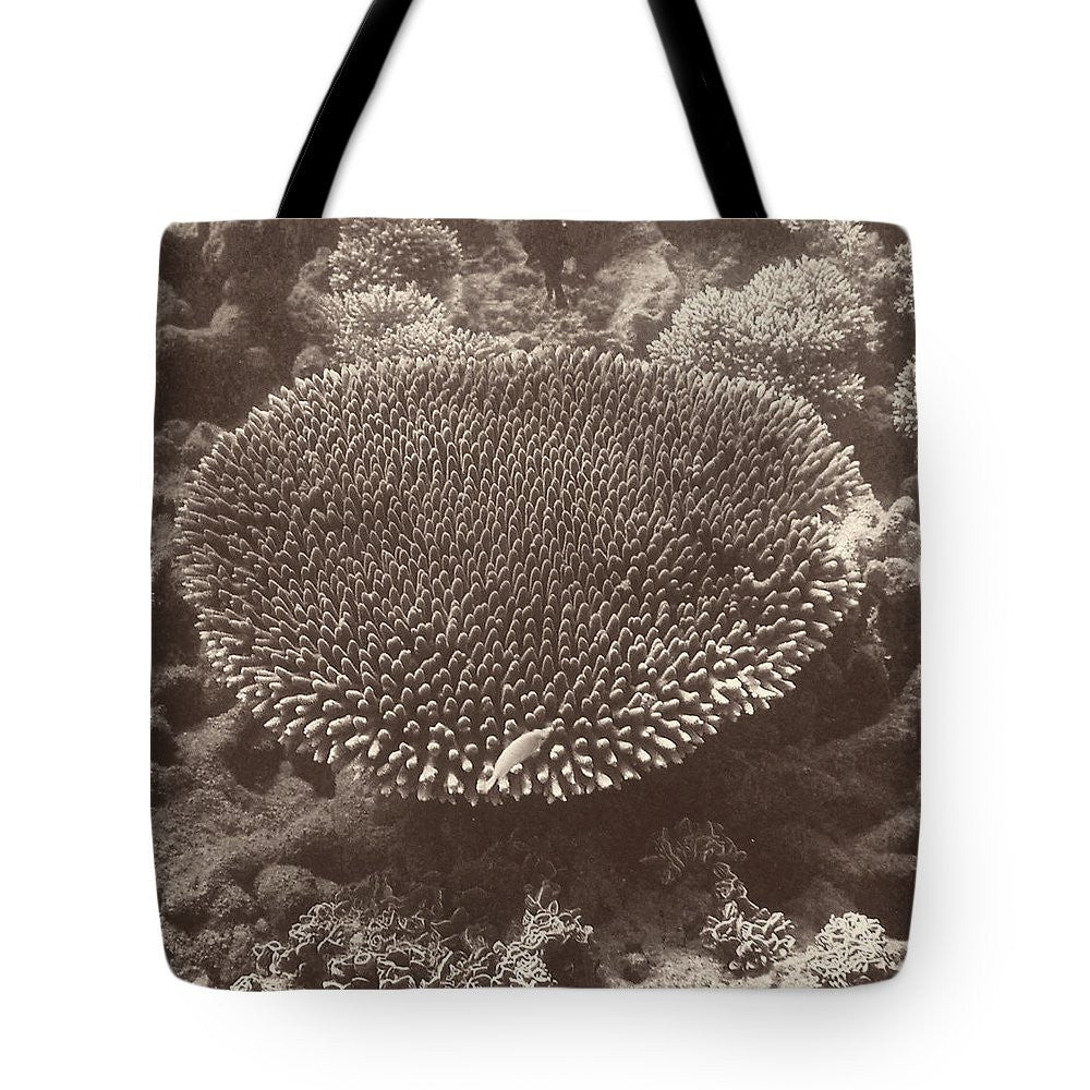 Sepia Barrier Reef Coral II Tote Bag
