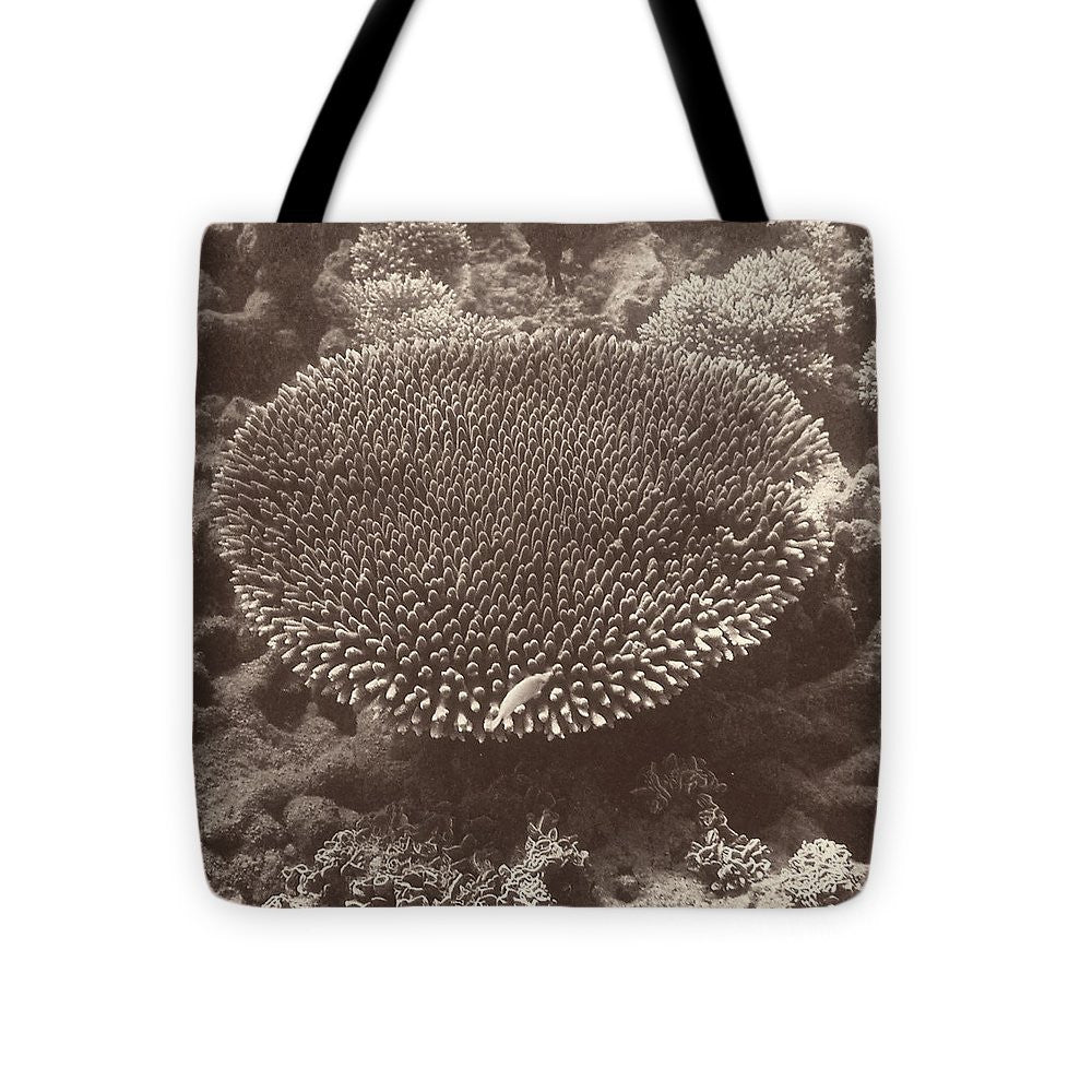 Sepia Barrier Reef Coral II Tote Bag