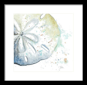 Water Sand Dollar Framed Print by Patricia Pinto