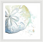 Water Sand Dollar Framed Print by Patricia Pinto